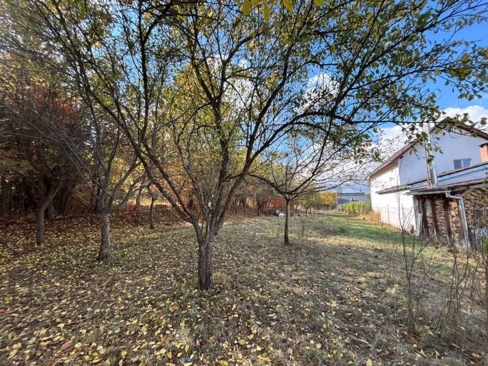 Teren intravilan 1198 mp - Turnu Roşu, Sibiu – fotografia 11 din 12