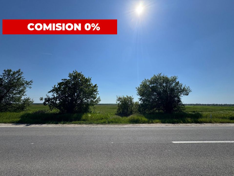 Teren agricol 12.500 mp | Deschidere directă DN61 | Dublu acces | Corbii Mari – fotografia 6 din 7