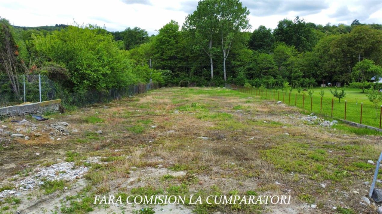 TEREN 2153 MP BUJORENI - DESCHIDERE LA DN7 – fotografia 5 din 11
