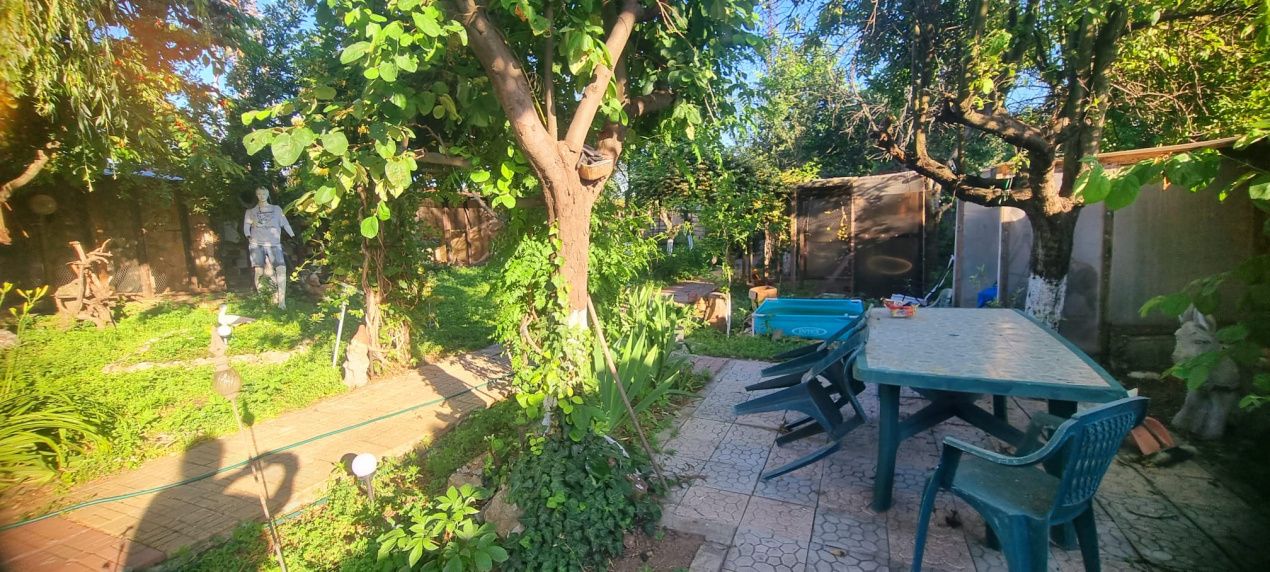 Casă parter cu teren de 1400 mp în Bariera Vâlcii aproape de drumul expres – fotografia 17 din 24
