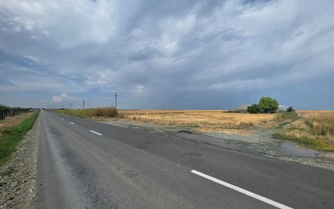 Teren intravilan 2ha, deschidere la drum județean, Mihail Kogălniceanu, CT