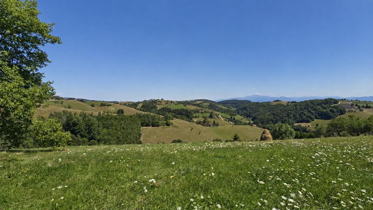 De vânzare teren de 8.544 mp în Poiana Mărului | Teren cu potențial – fotografia 5 din 10