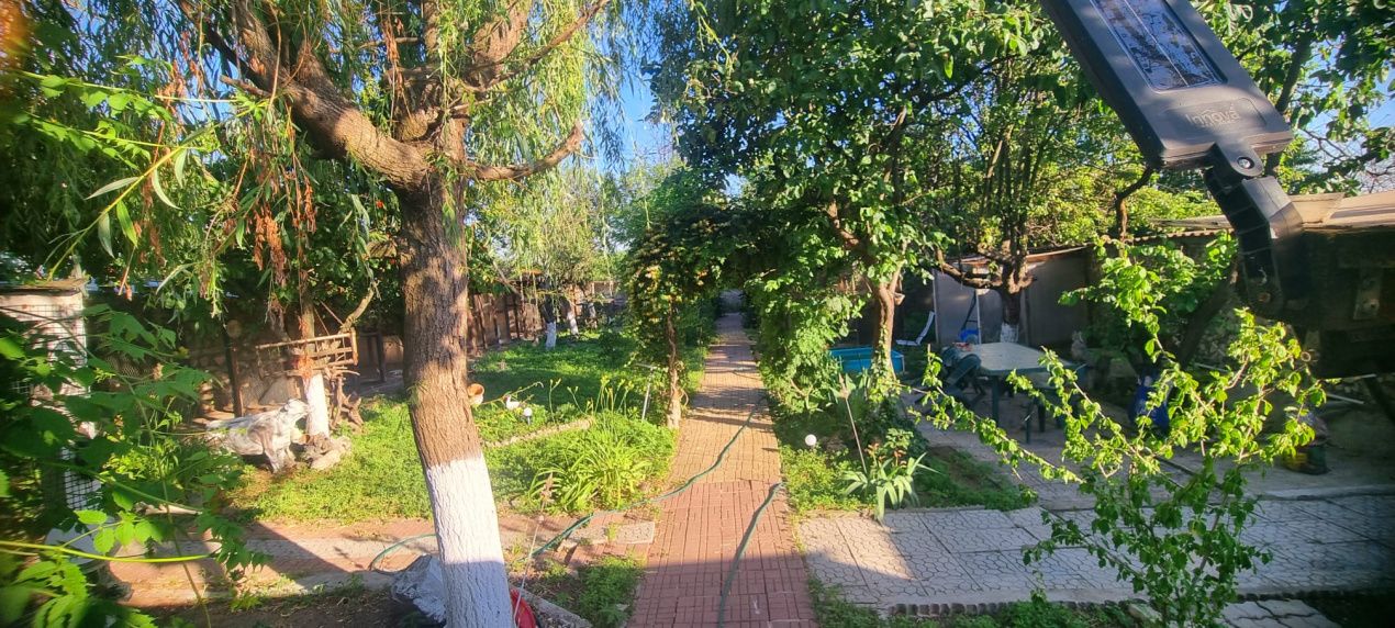 Casă parter cu teren de 1400 mp în Bariera Vâlcii aproape de drumul expres – fotografia 18 din 24