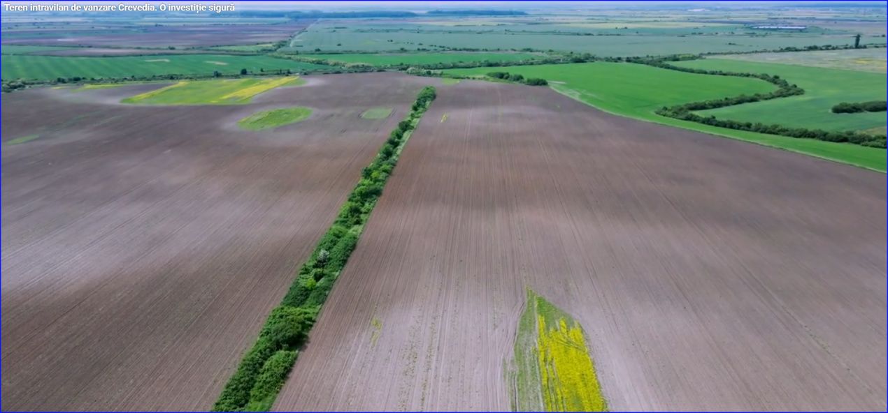 OPORTUNITATE DE INVESTIȚIE – 82.757 MP TEREN INTRAVILAN ÎN CREVEDIA – fotografia 3 din 9
