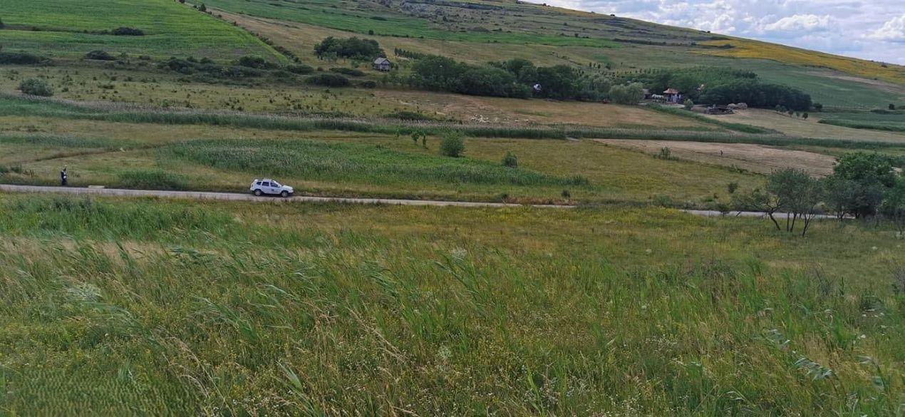 Teren intravilan 17400mp Campenesti – fotografia 6 din 7