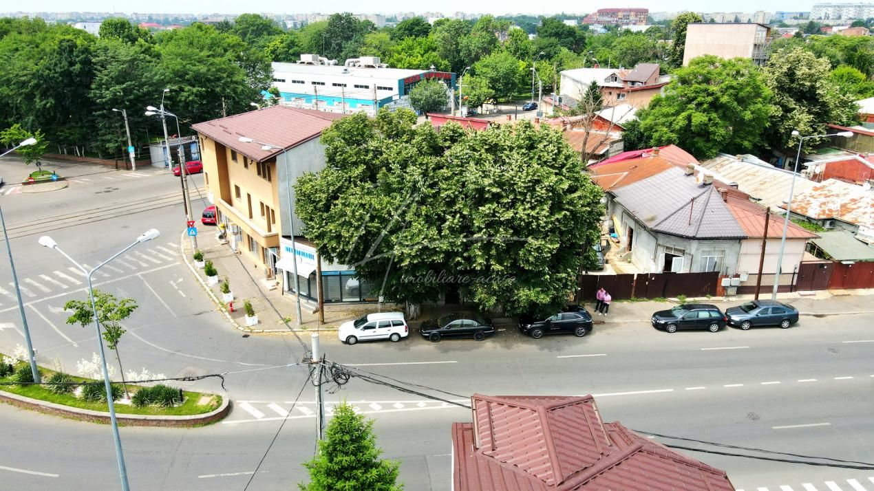 Pieptanari 100. Casele din umbra teilor. Rezidential sau comercial? – fotografia 56 din 60