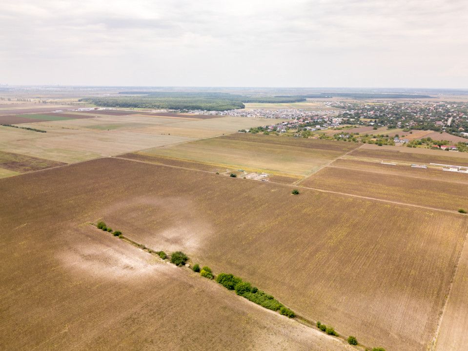 DASCALU – TEREN INTRAVILAN 11300 MP, INVESTITIE! – fotografia 13 din 18