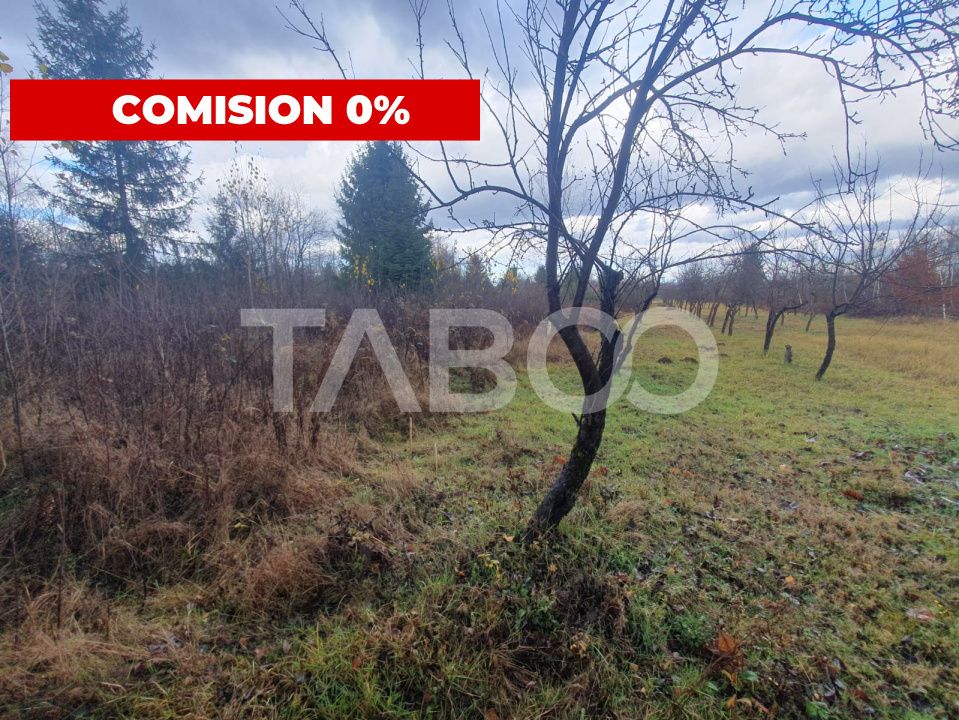 Teren intravilan 1000 mp Statiunea Climaterica Sambata de Sus – fotografia 1 din 3
