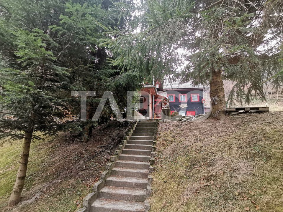 Pensiune de lux de vanzare in inima padurii langa Sibiu – fotografia 36 din 54
