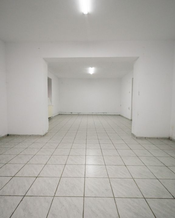 Apartament in vila - demisol inalt - de vanzare in zona Parcul Carol – fotografia 6 din 13