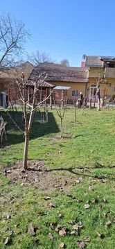 Casă renovata cu teren generos și acces auto din două străzi | Dâmbul Rotund – fotografia 5 din 7