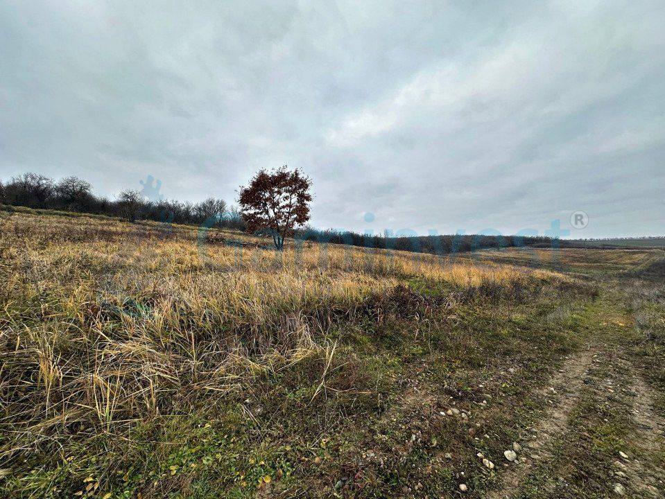 Teren intravilan de vanzare,  priveliste spre lac, Saldabagiu de Munte – fotografia 5 din 5