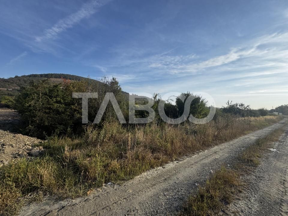 Teren extravilan 6700 mp intre DN si autostrada iesire Cristian Sibiu – fotografia 3 din 8