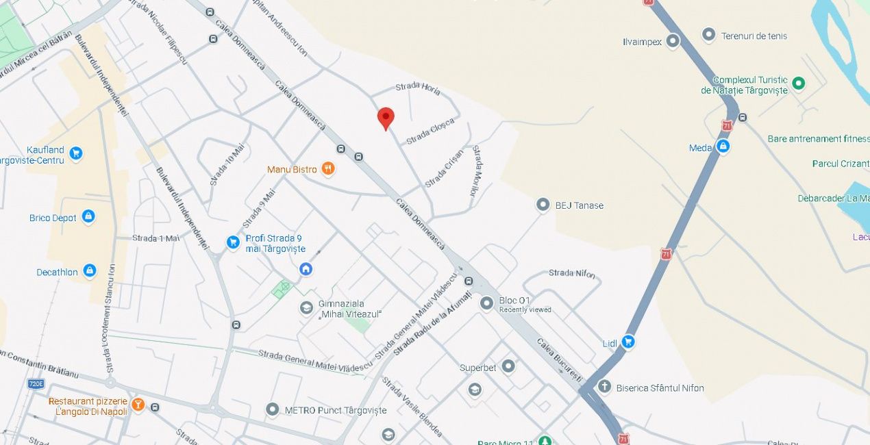 Vilă interbelică | Str. Căpitan Andreescu Ion | 250 mp utili | Teren 740 mp – fotografia 11 din 11