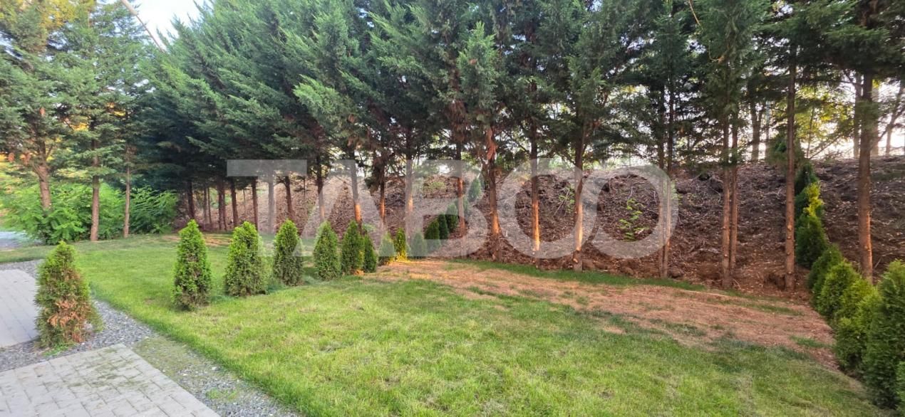 Apartamente de vanzare langa padure priveliste spre munti si liniste – fotografia 5 din 17
