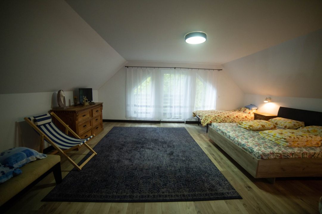 Cabane de vânzare Reghin Deda - Bistra Mureșului – fotografia 16 din 44