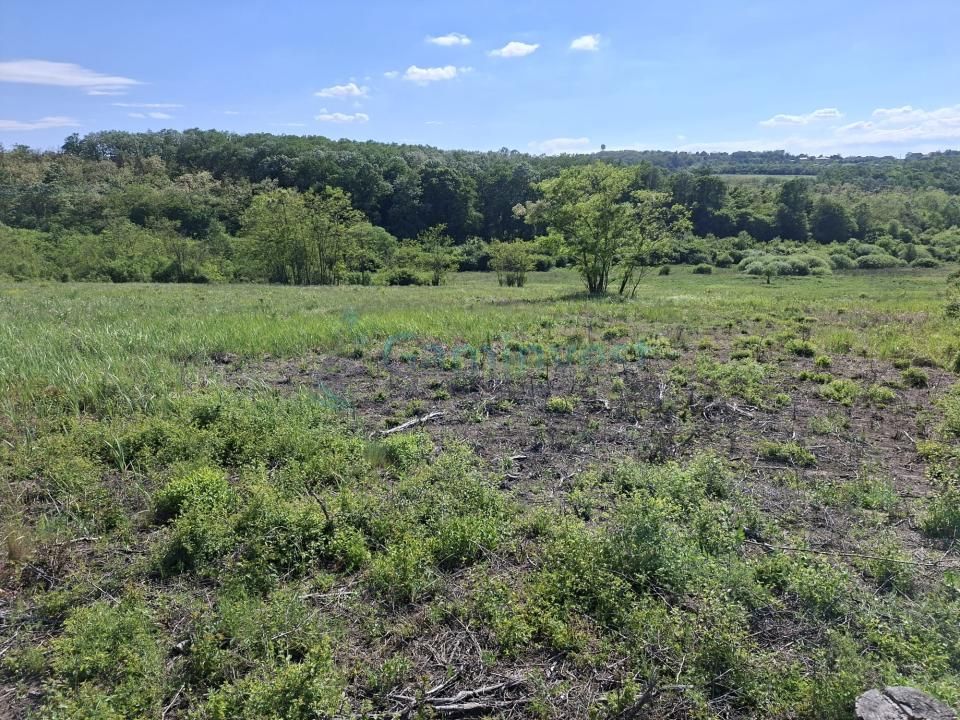 Teren intravilan de vanzare 9783 mp, in Paleu, Bihor – fotografia 3 din 8