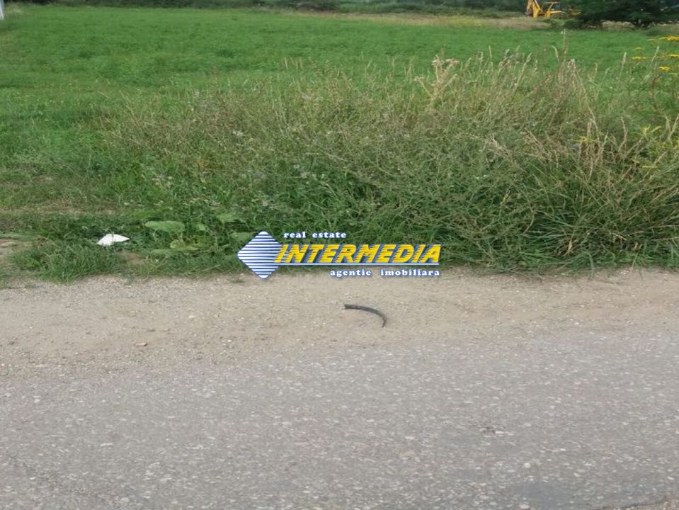 Vanzare Teren Intravilan 1638 mp. in Alba Paclisa cu deschidere 15 m – fotografia 3 din 4