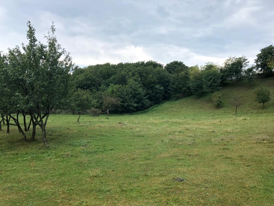 Teren intravilan Vălenii de Munte – 3.000 mp Ideal investiție sau locuinta – fotografia 1 din 29