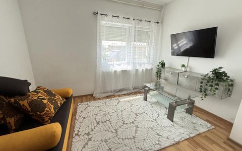 Apartament cu 3 camere, decomandat, 64 mp utili, curte privata - Sanandrei