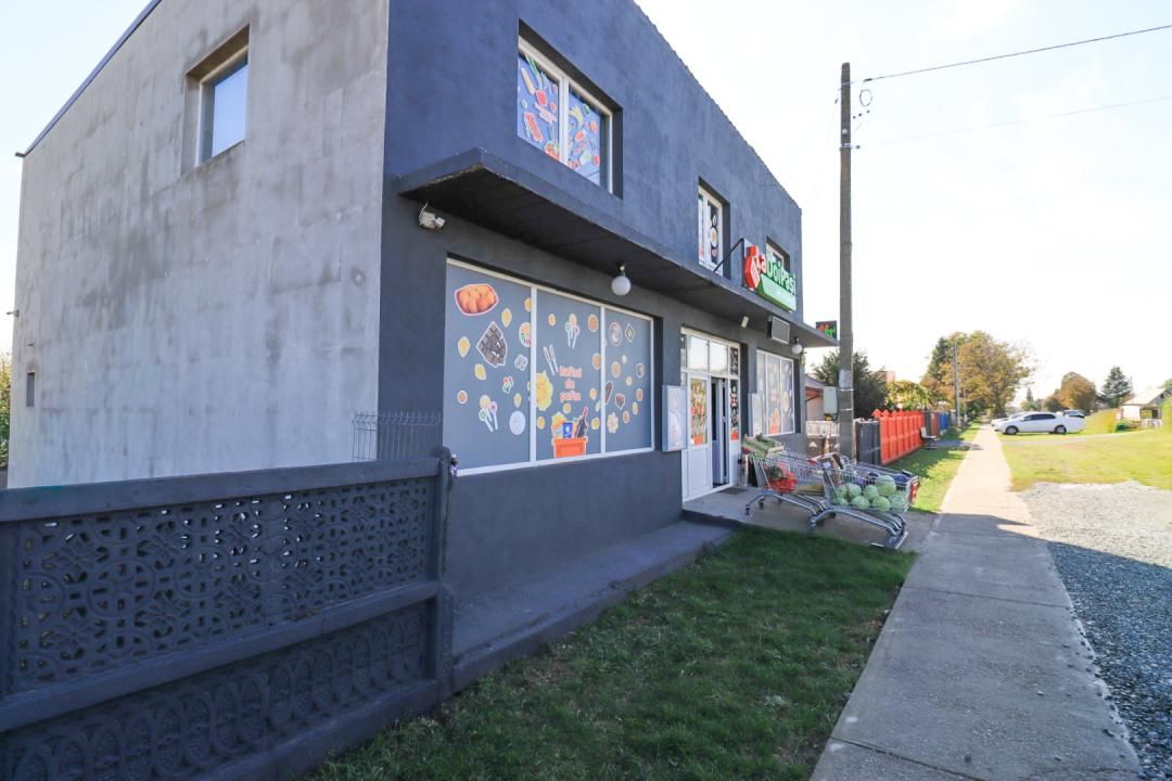AFACERE LA CHEIE – SPAȚIU COMERCIAL | TĂMĂDĂU MARE | STRADA PRINCIPALA – fotografia 23 din 24