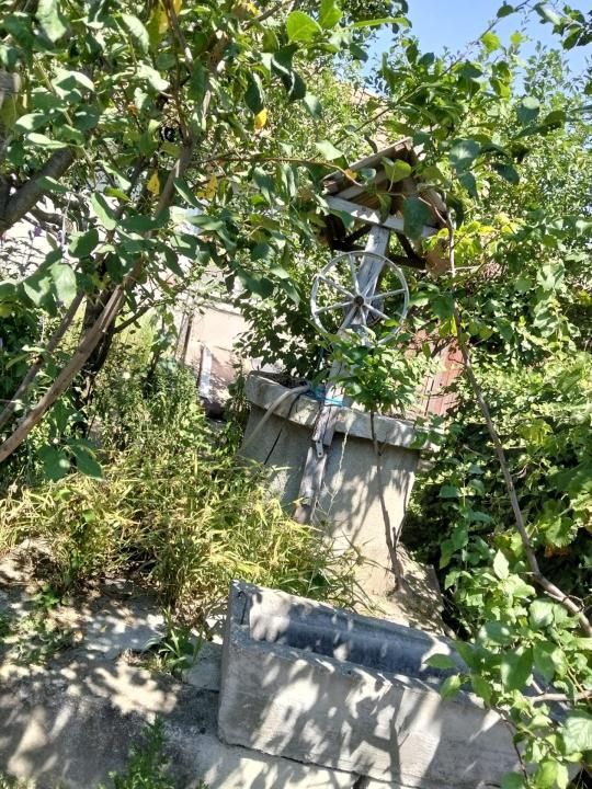 Casă 60 mp utili, teren 1.400 mp | Borșa (Răscruci), Cluj – fotografia 15 din 16