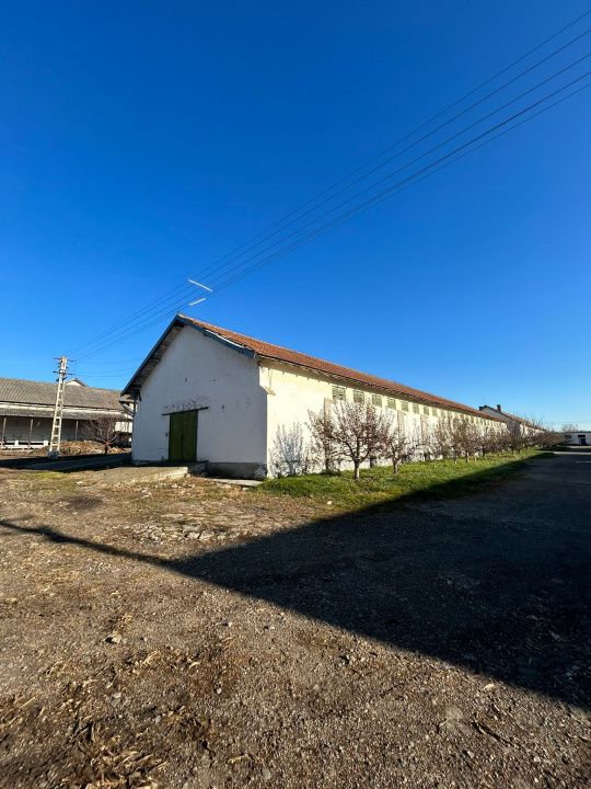Complex Agroindustrial – Stație Uscare | Condiționare | Depozitare Seminte – fotografia 20 din 31