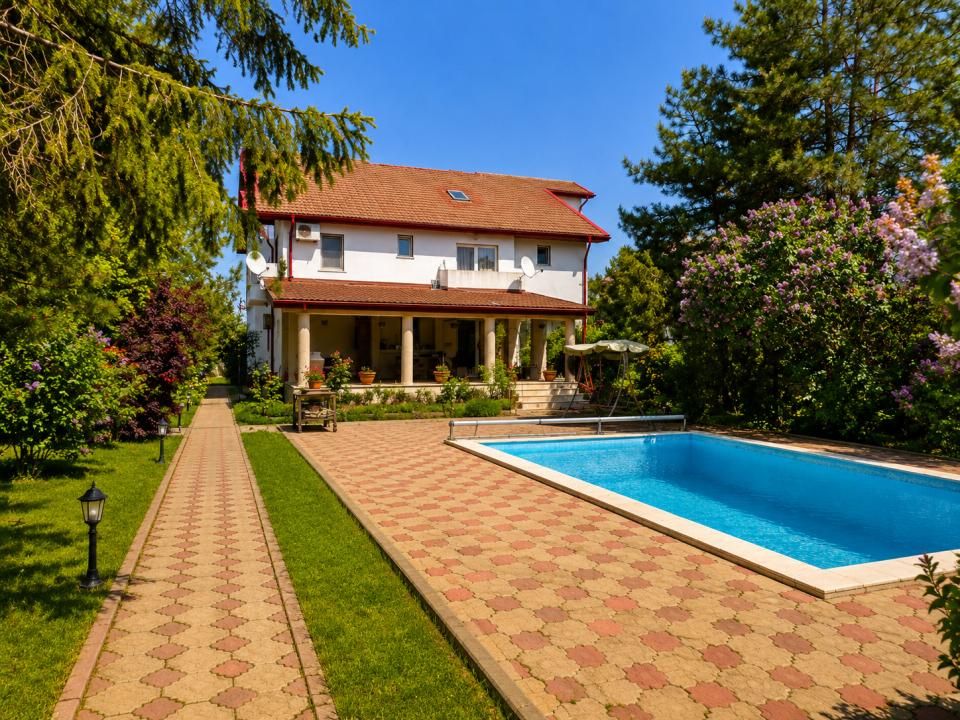 Oportunitate Rară în Ciorogârla– 8.000 mp Teren | Dublu Acces Asfaltat – fotografia 6 din 23