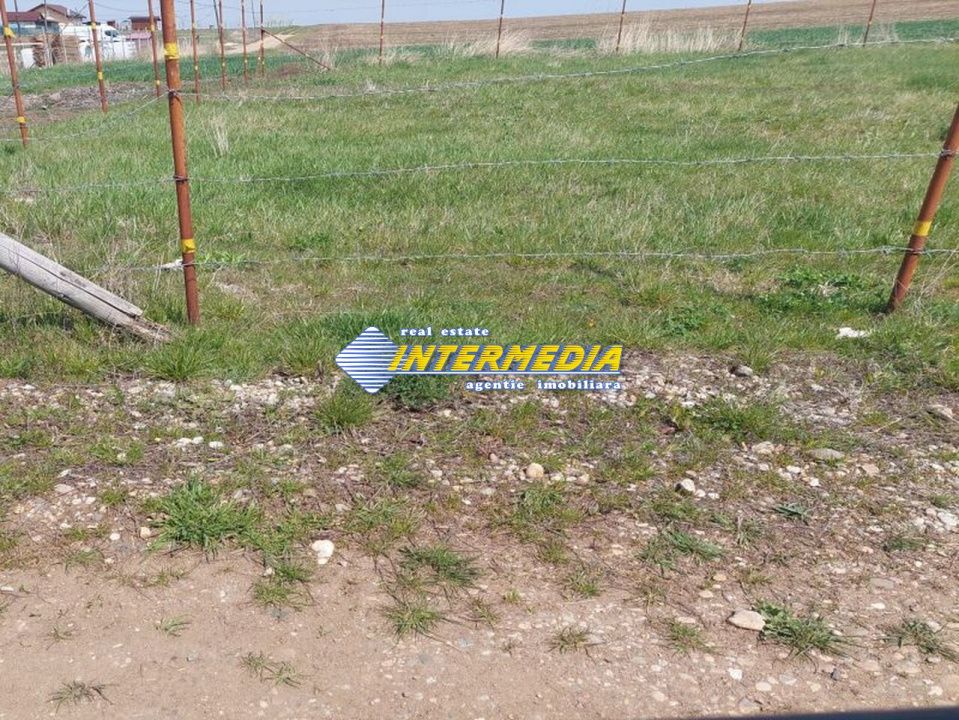 Teren intravilan de vanzare 500 mp Oarda – fotografia 2 din 6