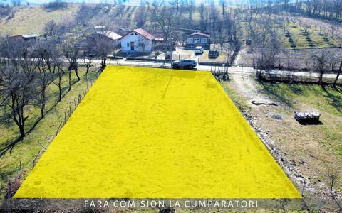 TEREN 872 MP ZONA LINISTITA AER CURAT