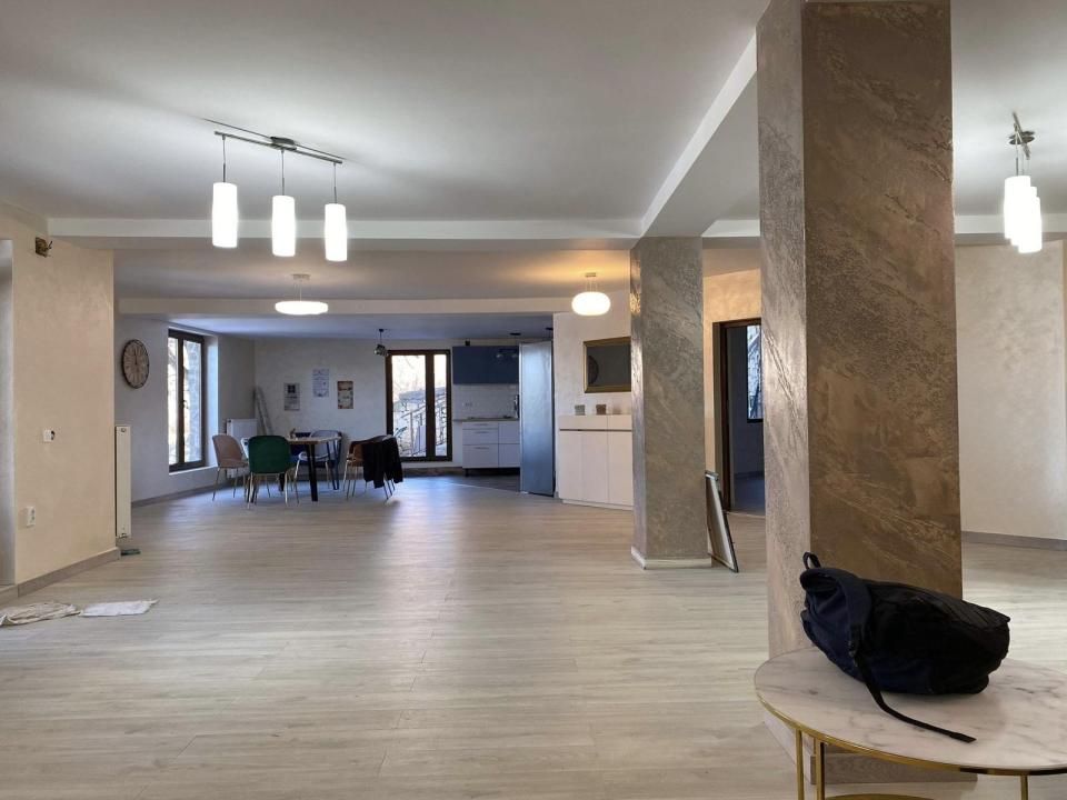 Conac exclusivist în Făget, 1.000 mp utili, teren 2.000 mp și piscină – fotografia 4 din 12