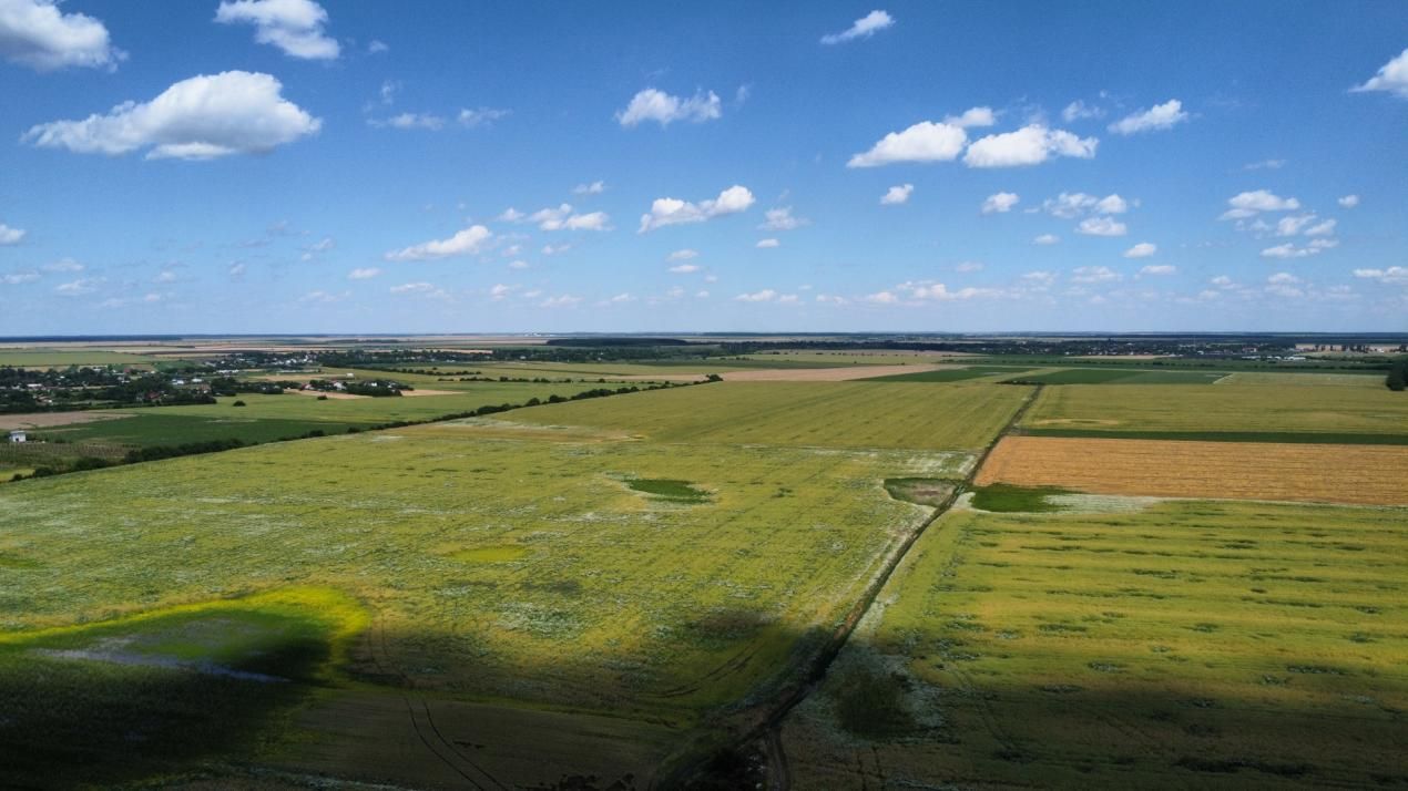 Teren Intravilan 9.918 mp Creața Dascălu, T66– Parcelabil – fotografia 6 din 12