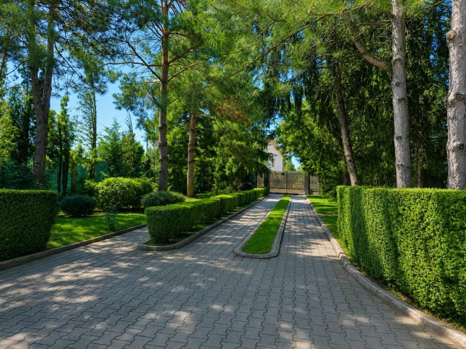 Lakefront Estate | 3.000 mp Teren | Ponton Privat | Snagov – fotografia 2 din 27