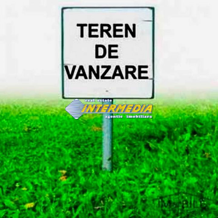 Teren intravilan de vanzare 600 mp in Oarda – fotografia 6 din 6