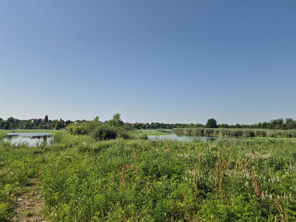 Izvorani - Teren cu deschidere generoasă la lacul Snagov – fotografia 4 din 9