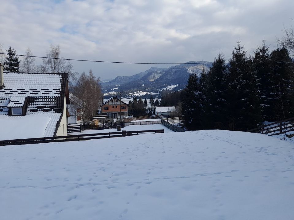 Cabana cu vedere la lac, 8 camere, 200 mp, 1800 mp teren, zona Colibita – fotografia 6 din 34