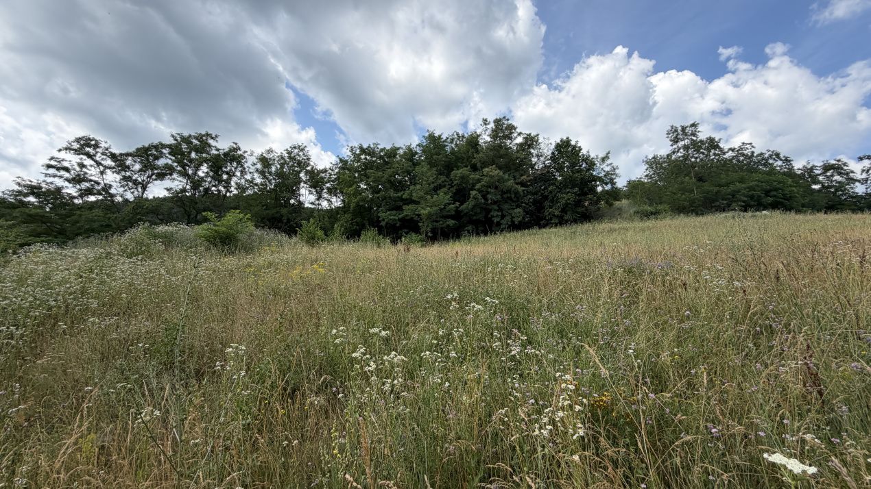 TEREN Intravilan 1800 mp Meteș deschidere 28 m Platou ideal Cabană View Superb – fotografia 4 din 4