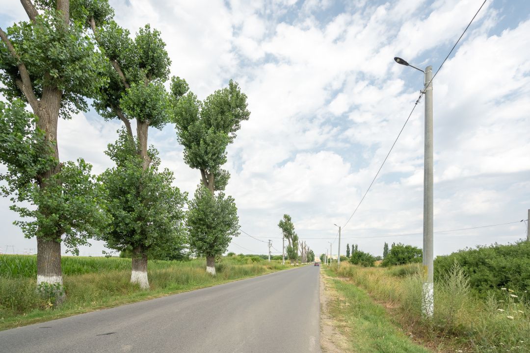 Teren Cernica,pentru Dezvoltare Rezidențială sau Industriala – fotografia 17 din 20