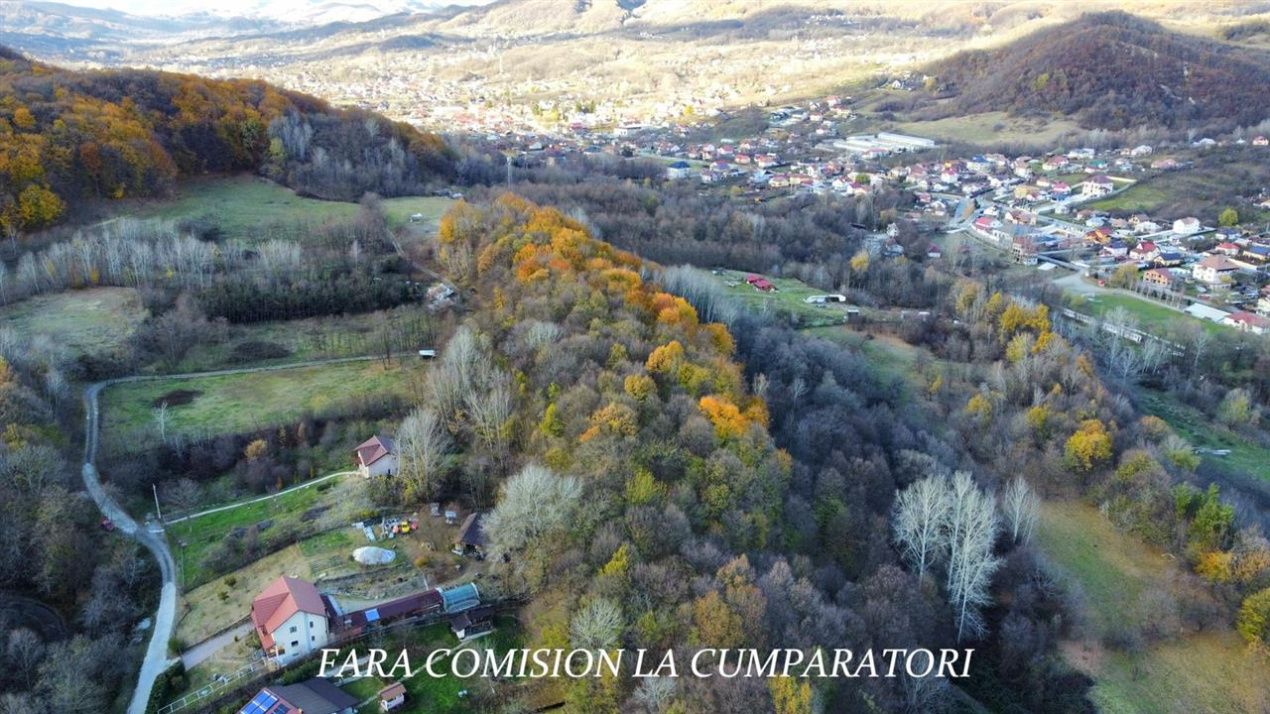 PADURE LANGA ORAS ACCES BUN IDEALA PENTRU ACTIVITATI DE AGREMENT – fotografia 8 din 13