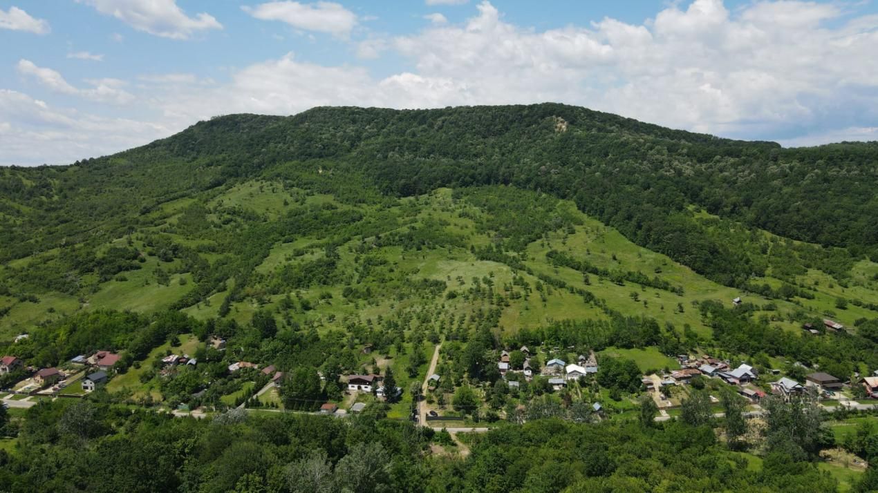 Teren spectaculos cu padure, livada si priveliste panoramica in Soimari PH – fotografia 4 din 16