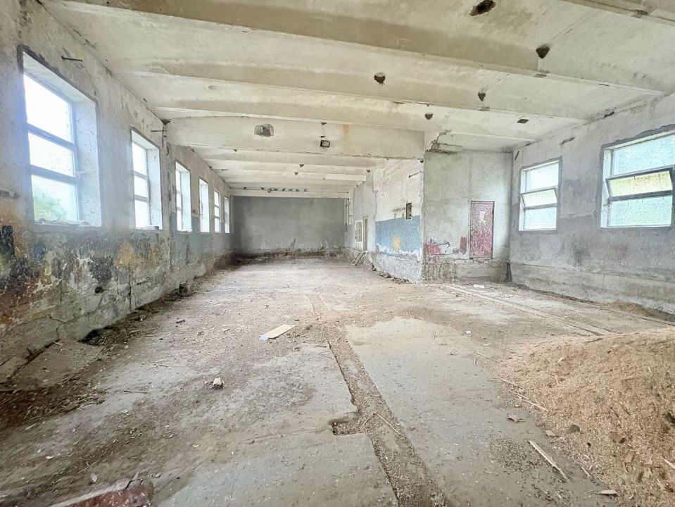 Hala 450 mp in mijlocul padurii Valu lui Traian cu teren 1875 mp – fotografia 7 din 9