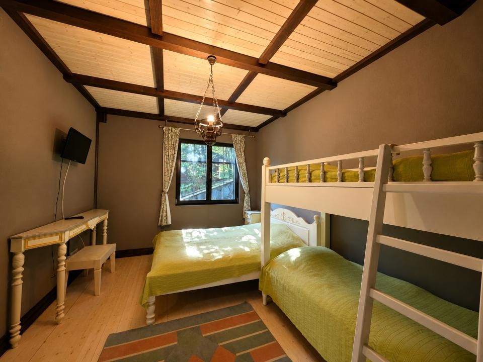 Mountain Chalet | Private Resort | Investment - Nistoresti – fotografia 18 din 25