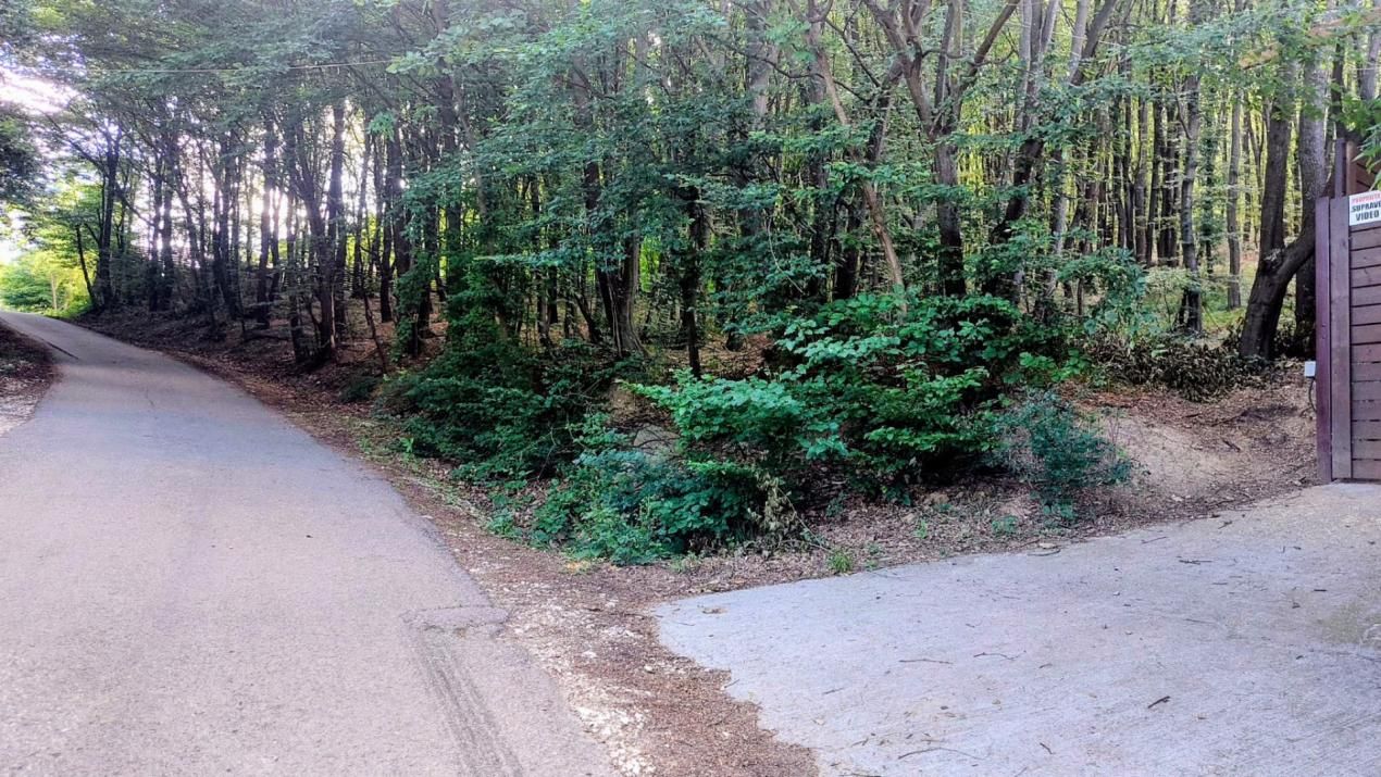 TEREN STEFANESTI(VALEA MARE) ZONA IN PLINA DEZVOLTARE – fotografia 1 din 2