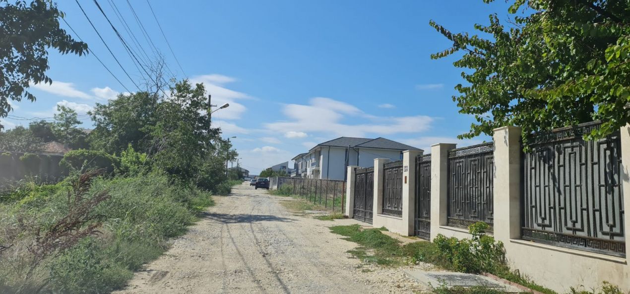 Teren de vanzare in Palazu Mare – fotografia 5 din 5