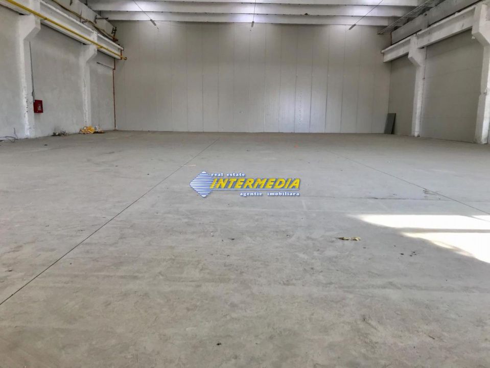 Hale Productie Depozitare Alba Su. de la 1725 mp. - 4000 mp. finisata complet – fotografia 5 din 11