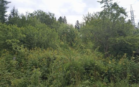 Teren intravilan 997 mp | Predeal | zona Partie | Front stradal 27,03 m