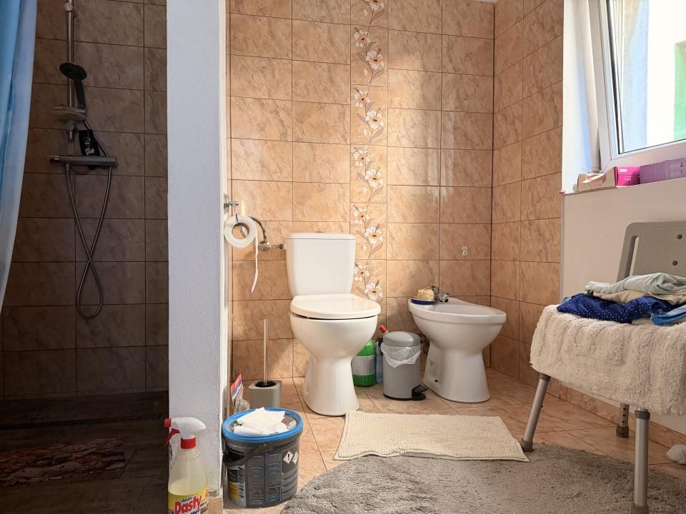 Casa individuala, 200 mp utili, 1005 mp gradina , anexe - Sag – fotografia 16 din 24