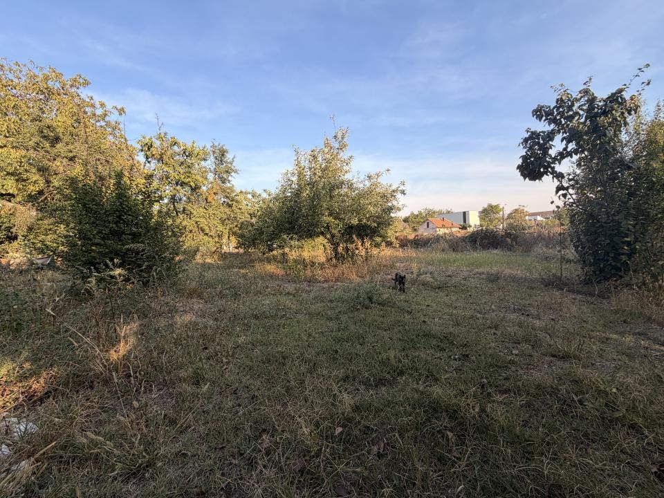 Casa individuala 110 mp utili, 1487 mp teren - Zona Blascovici – fotografia 15 din 17
