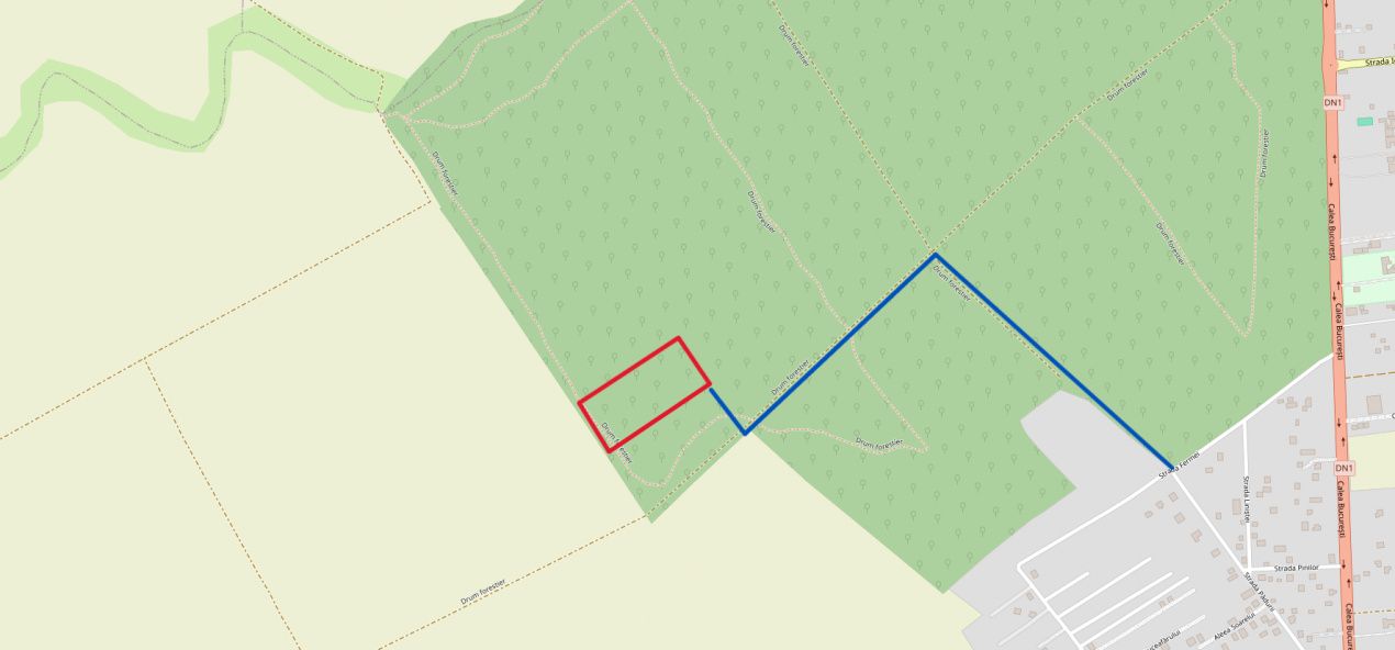 Padure 28.000mp - Saftica - 2e/mp - INVESTITIE - cel mai MIC pret – fotografia 1 din 6