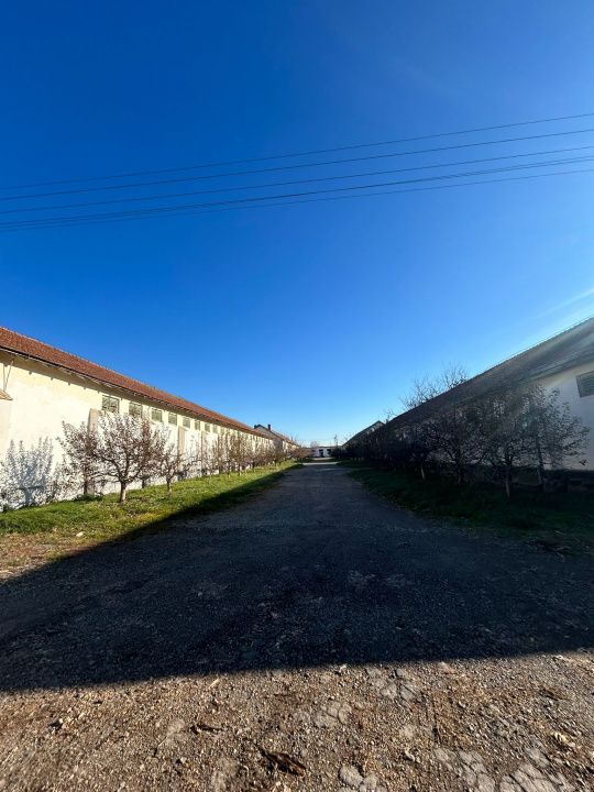 Complex Agroindustrial – Stație Uscare | Condiționare | Depozitare Seminte – fotografia 31 din 31